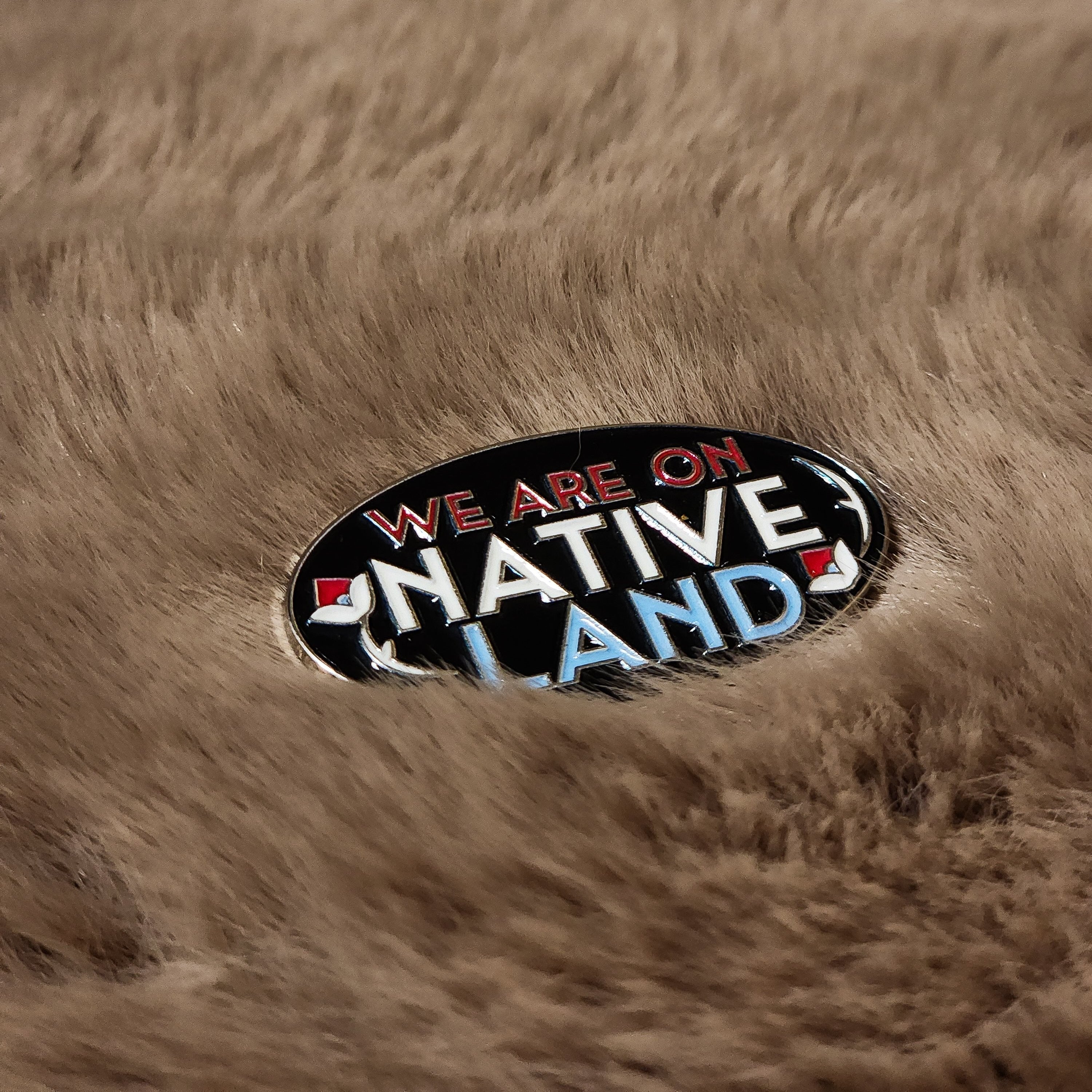 We are on Native Land Lapel Pin